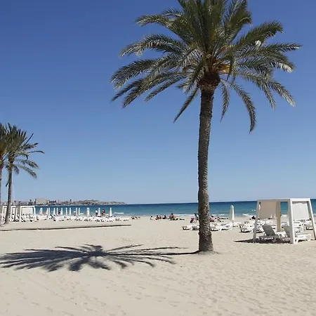 Playa A 500m En Centro Historico Alicante- Holidays B&f